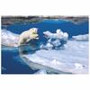 Full Drill Cross Stitch Home Decoration Polar Bear Animal Diamond Picture Embroidery Painting