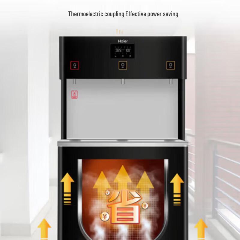 Haier Commercial RO Water Purifier with Heating
