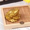 Wealth Golden Frog Toad Coin Chinese Fortune Frog Feng Shui Toad Lucky Ornaments