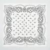Y2K Small Square Scarf Spicy Girls Hair Scarf Elegant Cashew Flower Print Scarf  Beach