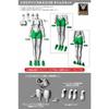 Megami Device M.S.G 02 Bottoms Set Skin Color A (Plastic model) NEW from Japan