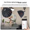 Светодиодный постоянный свет для фотосъемки JINBEI JL160W
