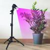 Photography Live Fill Light Tripod Bracket Photography Light Plant Growth Lamp Stand E27 Head