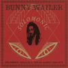 CD BUNNY WAILER - Solomonic Singles 1: Tread Along 19 DSRCD010 Dub Store Recor 2016 Japan Reggae, Ska & Dub Used