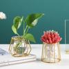Frame Desktop Ornament Glass Planter Terrarium Metal Holder Hydroponic Vase Iron Geometric Pattern