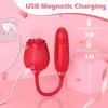 G-Spot Vaginal Vibrator Vlitoral Nipple Sucking Ctimulator 10 Sucking Modes Vibrating Egg Adult Sex Toys for Women & Couples