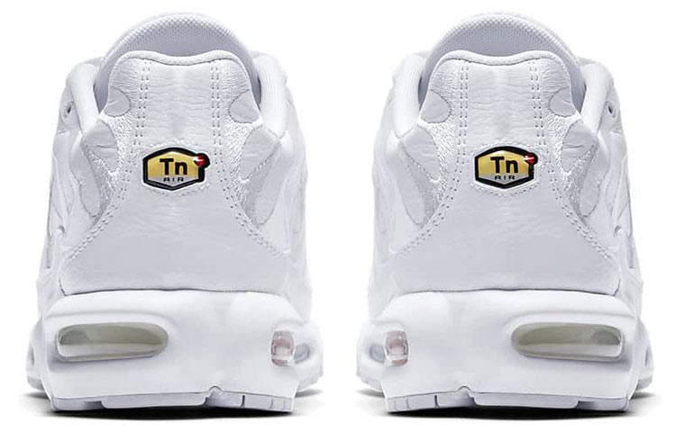Nike Air Max Plus Triple White AJ2029-100