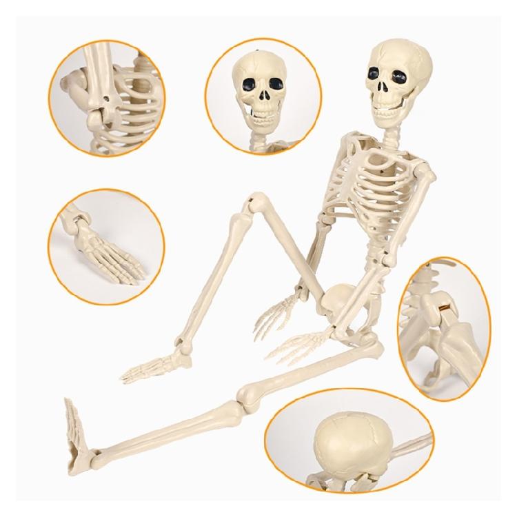 Реалистичный Подвесной Скелет во Весь Рост с Подвижными Суставами Реквизит для Хэллоуина, Дома с Привидениями, Ужасное Украшение Черепа