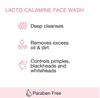 Set of 2 Face Wash For Oily Skin With Kaolin Clay & Niacinamide- 100ml Each
