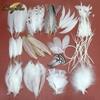 White Feathers for DIY Dream Catchers & Craft Decorations