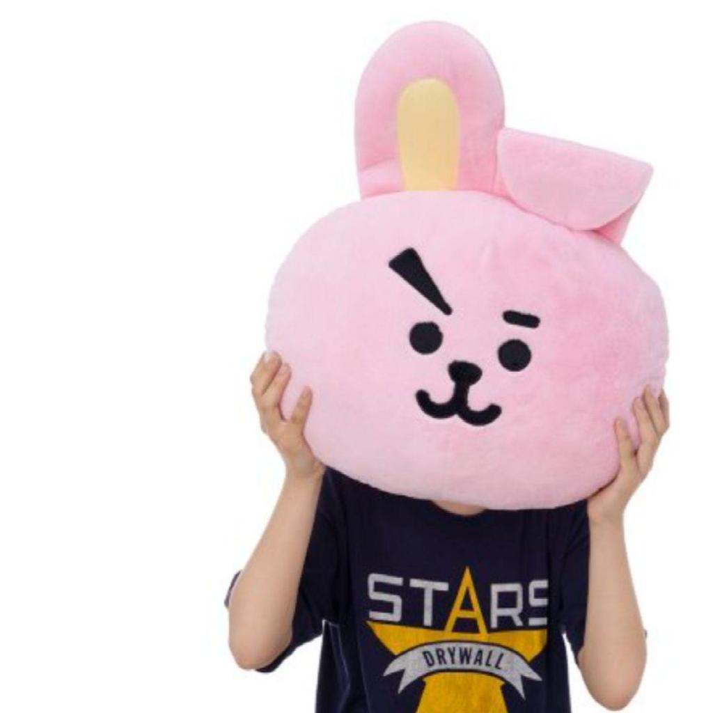 [USED] BT21 BASIC CUSHION COOKY