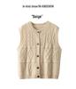 Women's Early Autumn Cashmere Cable Knit Sleeveless Vest Sweater Top