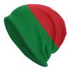 Flag Of Belarus Beanie Bonnet Knitted Hats Women Unisex Fashion Winter Warm Skullies Beanies Cap for Ski