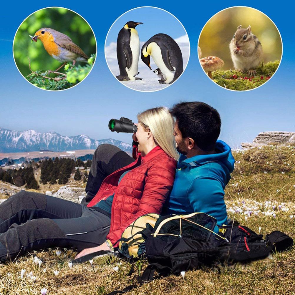 80X100 Monocular Telescope with Low Night Vision High Powered Monocular Scope for Birds Wildlife