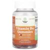 Vitamin B6 Gummies, Berries, 30 Gummies