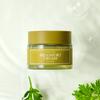 I'm from Mugwort Cream 50g