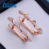 LSOOYH серьги-клипсы цвета розового золота, модные серьги для женщин, серьги-гвоздики с полым цирконием, ювелирные изделия