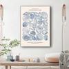 Vintage Blue Coastal Decor Posters, Conch Seashell Wall Arts Prints, Summer Ocean Themed Prints Blue Conch Posters Unframe