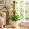 Wooden Plant Support Frame Extendable Plant Fixed Frame  Turtle Backed Bamboo