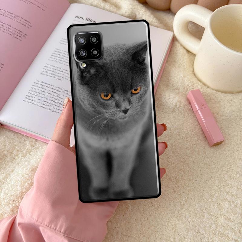 Кот Британская короткошерстная Для Samsung Galaxy A56 A54 A34 A14 A06 A16 A26 A36 A12 A32 A52 A13 A33 A53 A15 A35 A55 Чехол