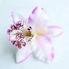 Women Headwear Fashion Jewelry Sand Beach Handmade Flower Gift Hair Pins Butterfly Orchid Hair Clips Fake Flower  Jewelry Accessory