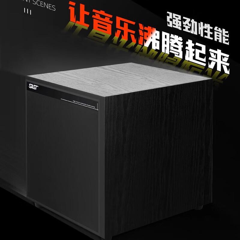 SAST Active Home Theater & KTV Subwoofer