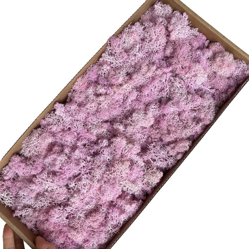 Preserved Flower & Moss Wall Decoration Kit: Flower Gift Box Materials