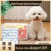 Bichon Frise & Teddy Dog Menstrual Diapers: Protective Pants for Puppies