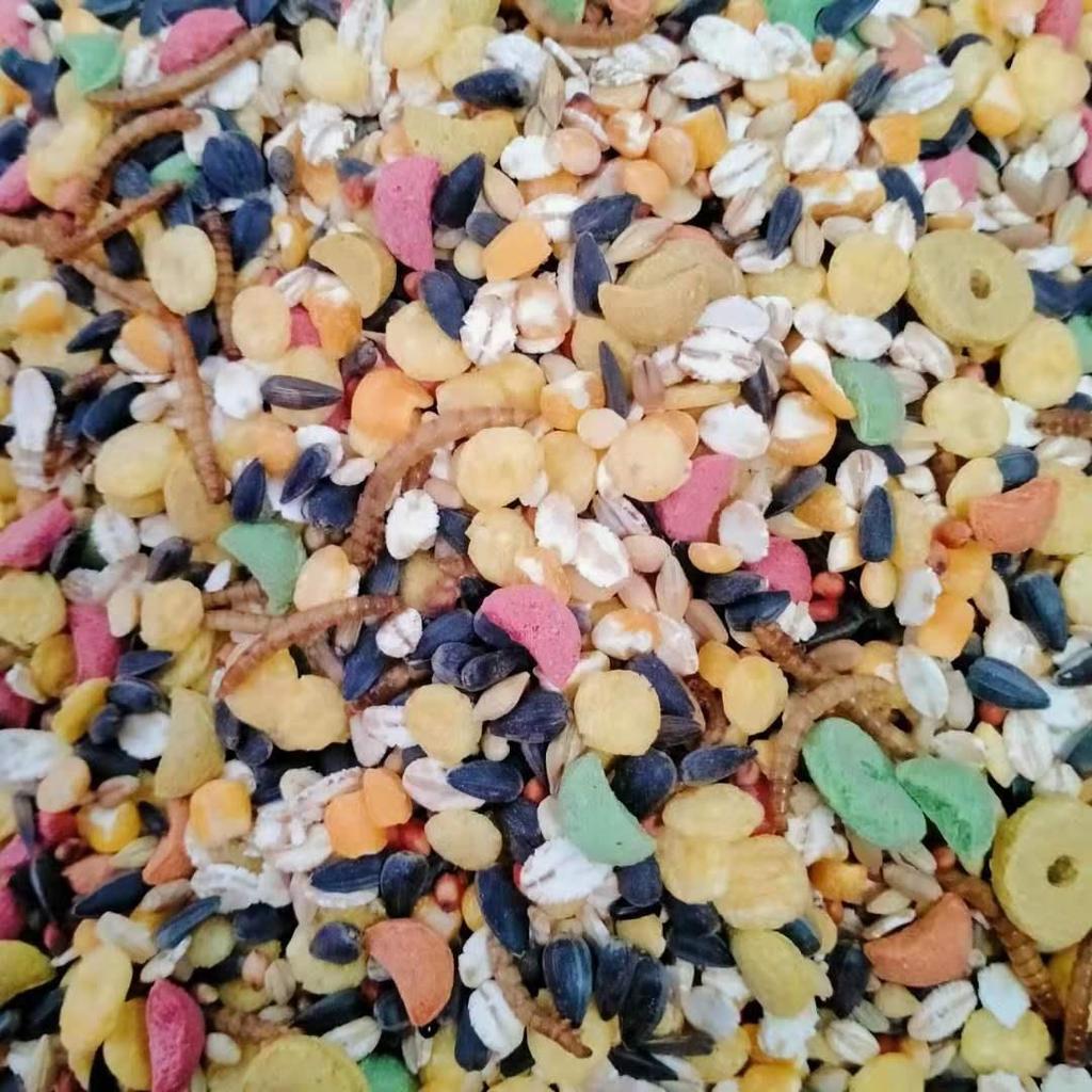 Корм для хомяков: Зерновые, морепродукты, фрукты, овощи и мучные черви собственного производства для мелких домашних животных