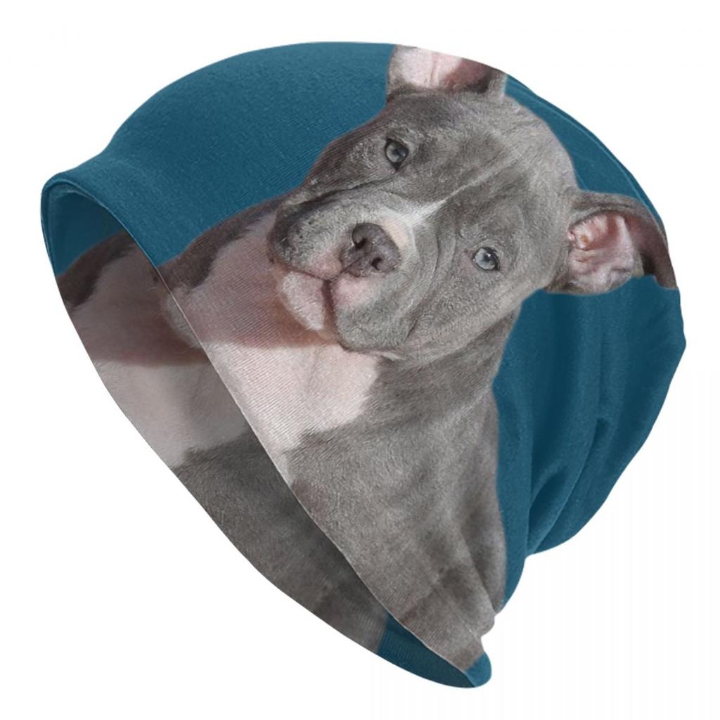 Английские шапки с черепами для бультерьера, уличная зимняя теплая женская вязаная шапка унисекс, шапка с капюшоном для животных, домашних питомцев, щенков