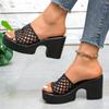 Fashion 2025 New Summer Hollow Out Mesh Wedge Sandals Women Peep Toe Chunky Platform Slippers Woman Non Slip Thick Bottom Outdoor Slides