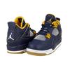 Jordan 4 Retro Dunk From Above 308497-425