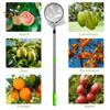 Fruit Picker with Segmented Pole Basket Adjustable Length Stainless Steel Pole Fruit Picker Easy-to-use Fruit Harvesting Tool for Apples Mango Lemon