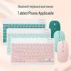 Apple Ultra-Thin Wireless Bluetooth Keyboard & Mouse Set for 10.1-inch Tablets, Phones, and iPads