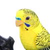 Electronic Sound Activated Motion Sensor Singing Parrot Toy With Realistic Chirping And Moving Actions For Home Decoration