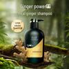 Yangyuanqing Ginger Oil Control Volumizing Shampoo