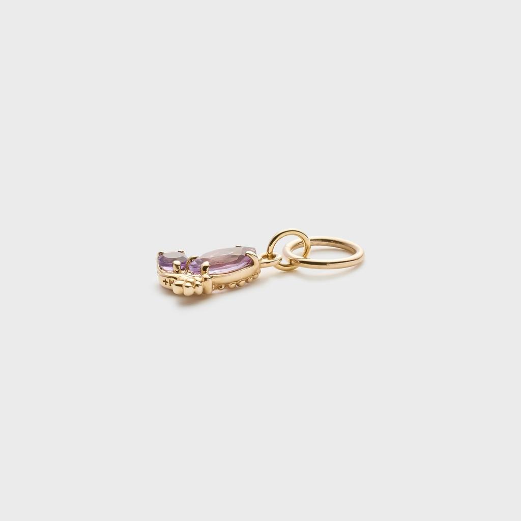 Tiny Charm K5 Amethyst Charm 3024111700422999 [NOJESS]