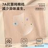 3-Pack Seamless Safety Pants for Women