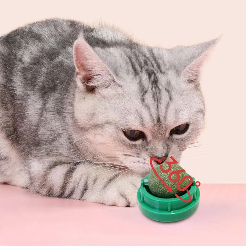 Cats Grass Scraper for Cats Pet Products Cats Accessories Natural Catnip Healthy Dishes Scratcher Snacks Toys Wall Sticky Ball
