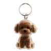 Keychain Pet Style Collect Pet Hair Transparent Pendant Keyring Bag Pendant Key