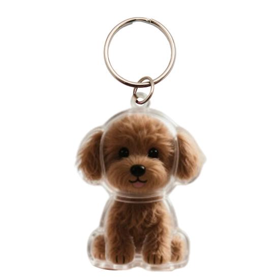 Keychain Pet Style Collect Pet Hair Transparent Pendant Keyring Bag Pendant Key