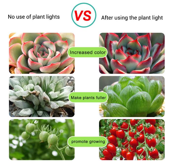 Светодиодный светильник для выращивания растений, полный спектр, USB-светильник для выращивания растений, 0,5 м, 1 м, 2 м, 2835 чип, светодиодная фитолампа для растений, цветов, теплица, гидропоника