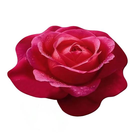 Floral Floor Mat Realistic 3D Visual Effect Flower Carpet Absorbent Floor Rug with Non-Slip Backing for Bedroom Entrance Living Room