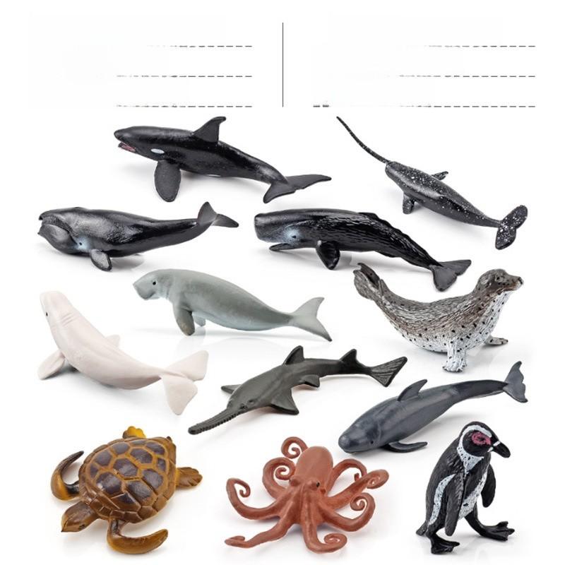 Marine Animal Pvc Model With Realistic Design For Education And Collection