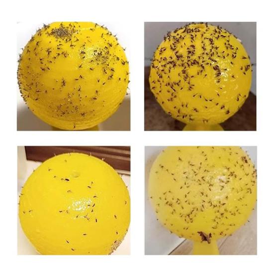 2/3/5Pcs Fly Restaurant Trap Ball with Sticky Kitchen Small Flying Animals