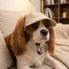 with Ear Holes Dog Baseball Cap Sun Protection Dog Sunscreen Hat Dog Sun Hat  Outdoor Sports