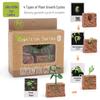 Montessori Animal & Plant Growth Cycle Teaching Toys for Kids