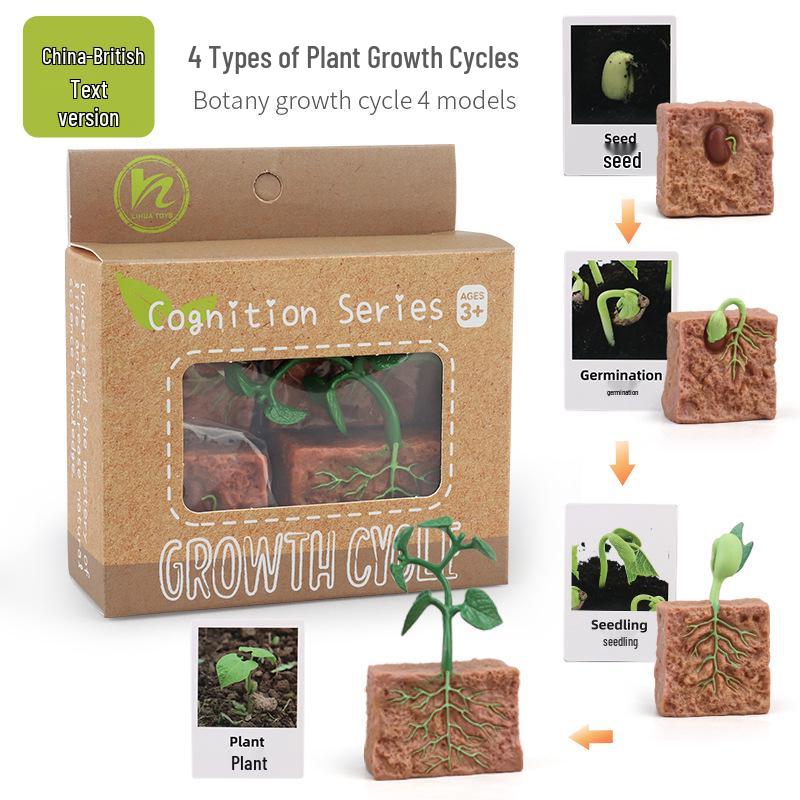 Montessori Animal & Plant Growth Cycle Teaching Toys for Kids
