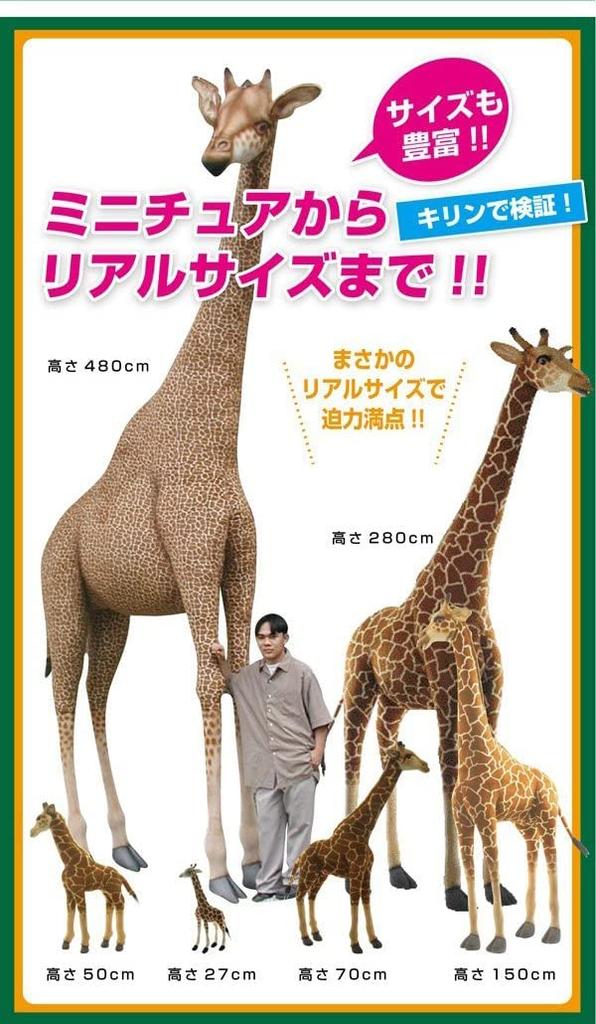 BH6999 HANSA Snow Leopard 70