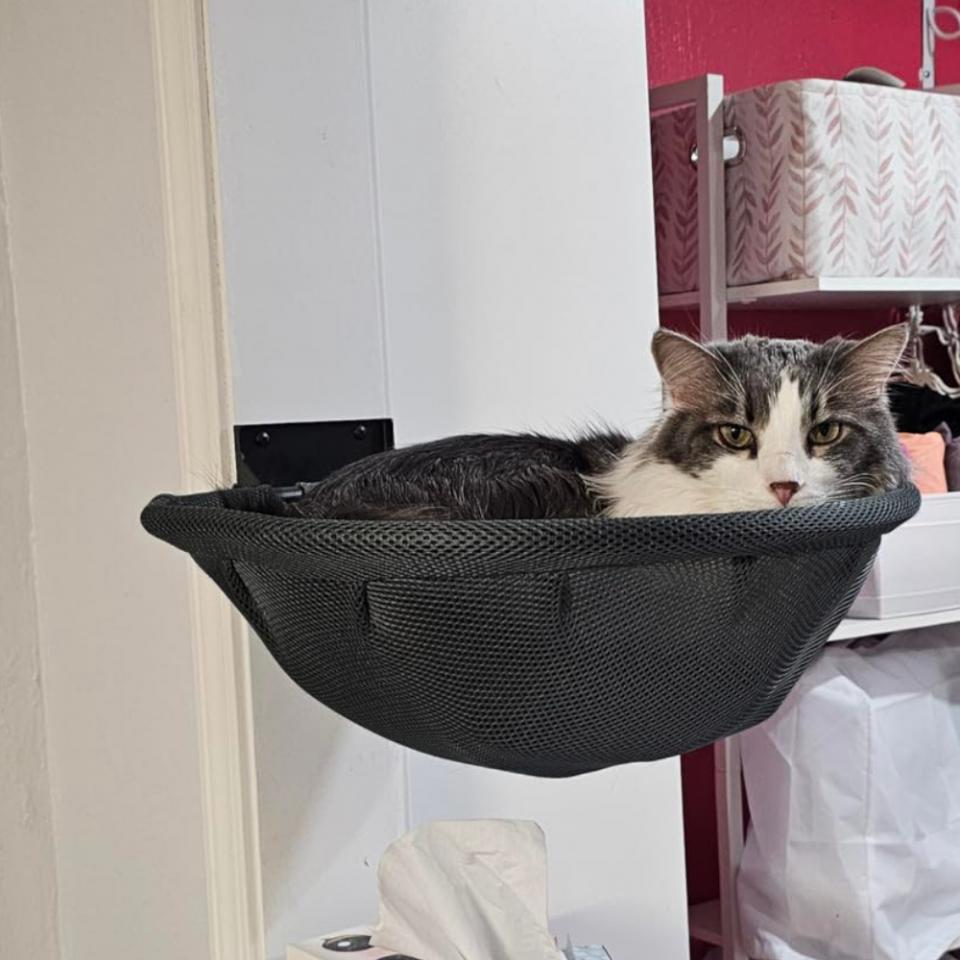 Window Cat Hammock Wall Cat Hang Hammock Bed Cradle Foldable Pet Bed Mesh Breathable Cats Wall Shelves Accessories Pet Furniture